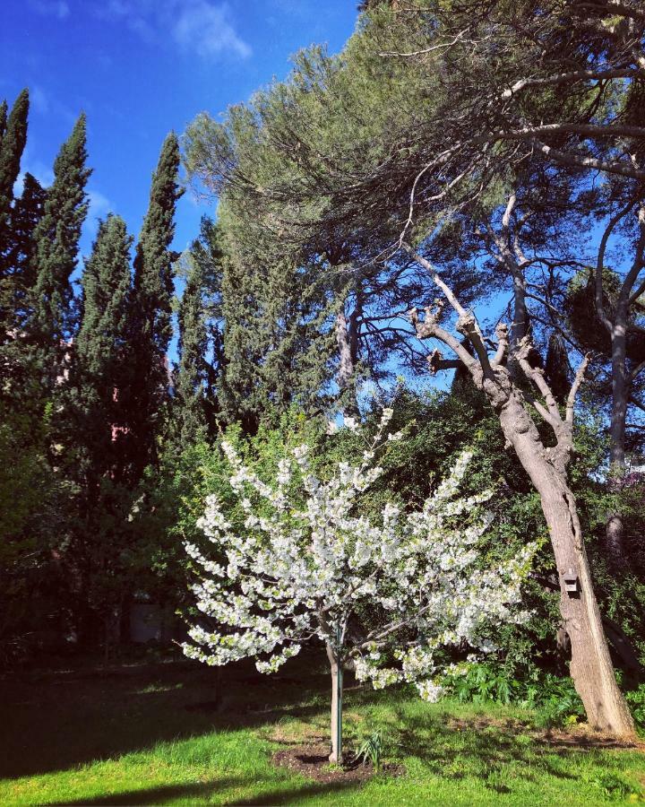 Maison La Roseliere Μονπελιέ Εξωτερικό φωτογραφία